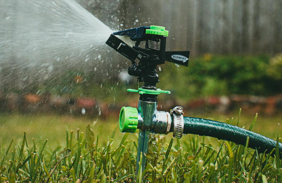 How to Prepare Your Yard for Sod