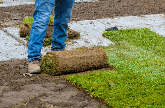 How Much Should You Water Your Lawn In The Summer?