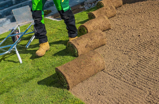 How to Keep a Lawn Green and Healthy Year-Round