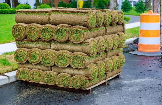 The benefits of using a professional sod installer for your new Florida lawn