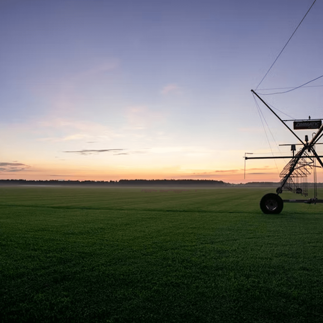 Advantage Turf