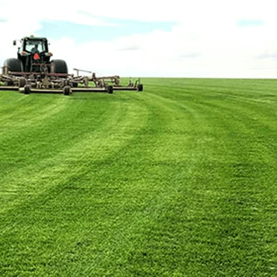 Advantage Turf