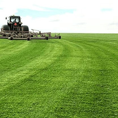 Advantage Turf