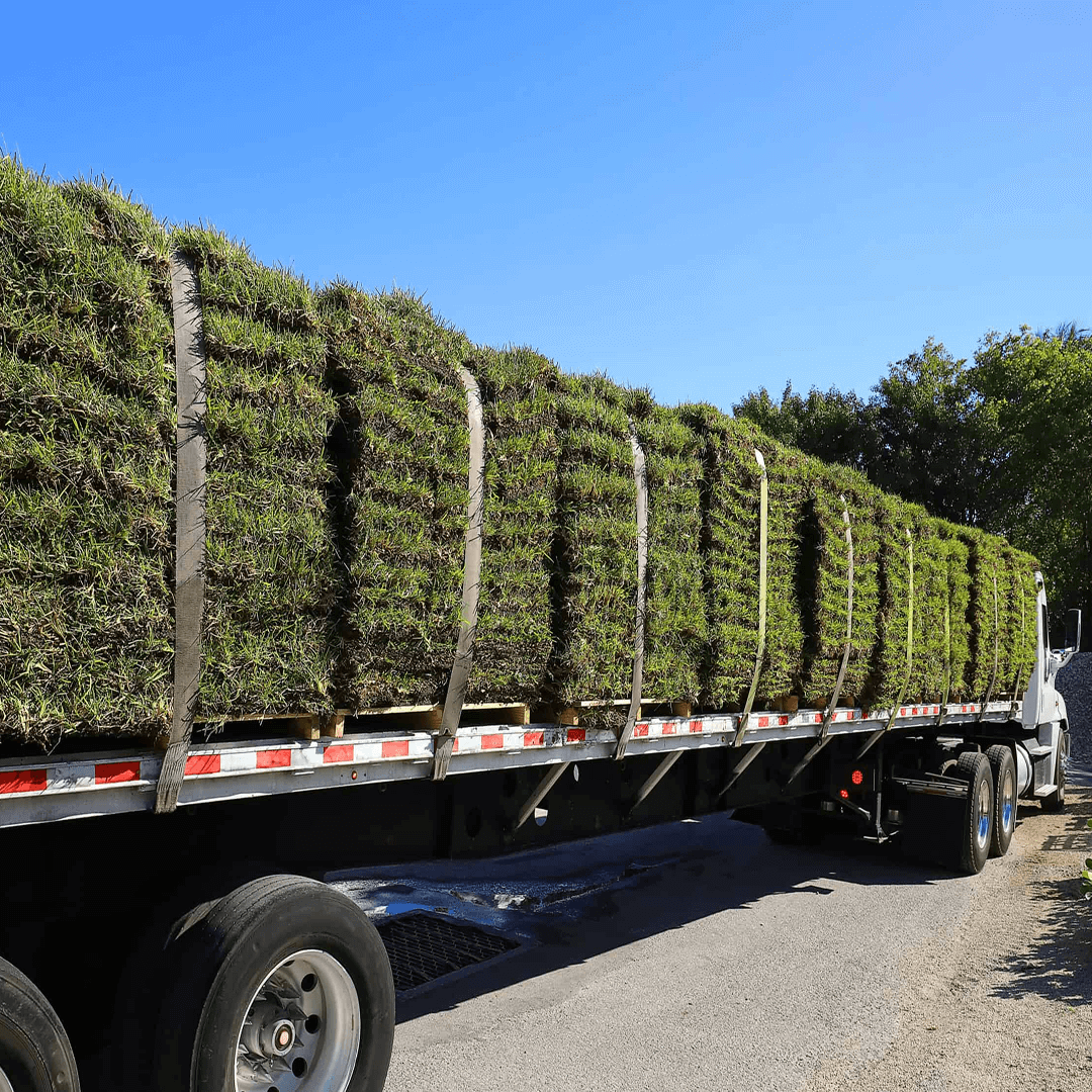 Advantage Turf