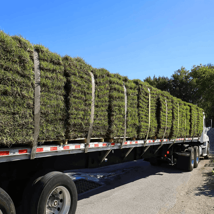 Advantage Turf